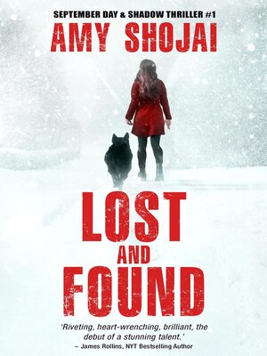 cover image of Lost and Found